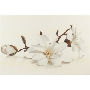 Декор Opoczno Flora Magnolia